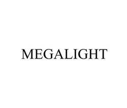 Свідоцтво торговельну марку № 335904 (заявка m202120071): megalight