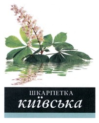 Свідоцтво торговельну марку № 212449 (заявка m201323891): шкарпетка київська