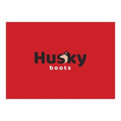 Свідоцтво торговельну марку № 315483 (заявка m201926722): husky boots