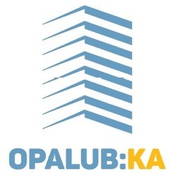Свідоцтво торговельну марку № 316304 (заявка m202004647): opalub:ka; opalubka
