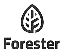 Свідоцтво торговельну марку № 196761 (заявка m201317336): forester