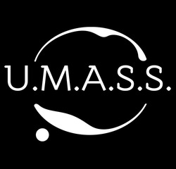 Заявка на торговельну марку № m202024316: u.m.a.s.s.; umass