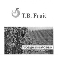 Заявка на торговельну марку № m201617471: t.b.fruit; tb; провідний виробник в україні та європі