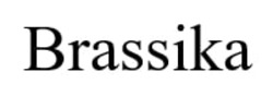 Заявка на торговельну марку № m202515913: brassika