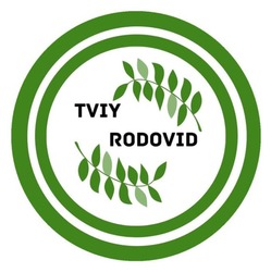 Заявка на торговельну марку № m202605191