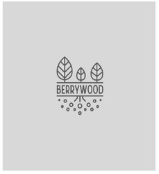 Свідоцтво торговельну марку № 290713 (заявка m201905833): berrywood