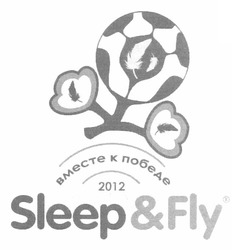 Заявка на торговельну марку № m201114880: вместе к победе 2012; sleep&fly