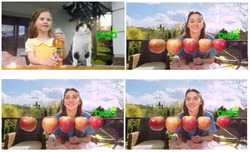 Заявка на торговельну марку № m202515256: biola