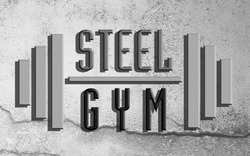 Заявка на торговельну марку № m202511106: steel gym
