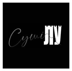 Заявка на торговельну марку № m202523088: суші лу