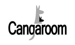 Заявка на торговельну марку № m201828156: cangaroom