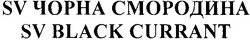 Свідоцтво торговельну марку № 81397 (заявка m200604953): sv чорна смородина; sv black currant