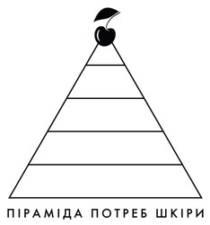 Заявка на торговельну марку № m202419654: піраміда потреб шкіри