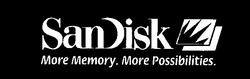 Заявка на торговельну марку № 2003021521: sandisk; san disk; more memory more possibilities