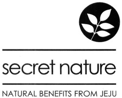 Заявка на торговельну марку № m201627915: secret nature; natural benefits from jeju