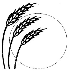 Свідоцтво торговельну марку № 16539 (заявка 96092111)