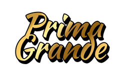 Заявка на торговельну марку № m202507544: prima grande