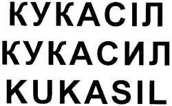 Свідоцтво торговельну марку № 53801 (заявка 20031010866): kukasil; кукасил; кукасіл