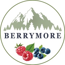 Свідоцтво торговельну марку № 278089 (заявка m201807362): berrymore