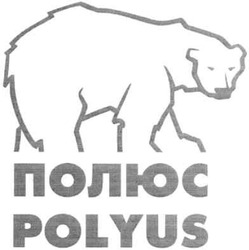 Свідоцтво торговельну марку № 68748 (заявка 20040606205): polyus; полюс