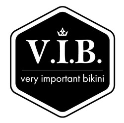 Заявка на торговельну марку № m201918966: v.i.b.; vib; very important bikini