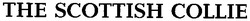 Свідоцтво торговельну марку № 73472 (заявка m200508957): the scottish collie