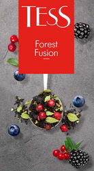 Свідоцтво торговельну марку № 343550 (заявка m202128248): tess; forest fusion