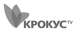 Свідоцтво торговельну марку № 311110 (заявка m201926243): kpokyc; tv; крокус