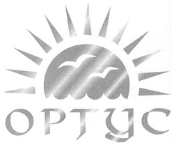 Свідоцтво торговельну марку № 97907 (заявка m200709502): optyc; ортус