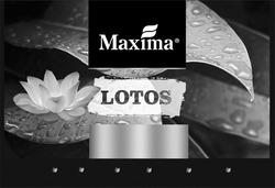 Свідоцтво торговельну марку № 344989 (заявка m202116389): maxima lotos
