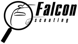 Свідоцтво торговельну марку № 332493 (заявка m202020452): falcon scouting