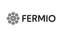 Заявка на торговельну марку № m202515961: fermio