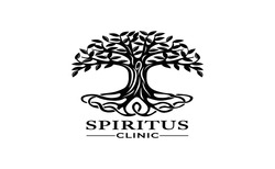 Заявка на торговельну марку № m202500431: spiritus clinic