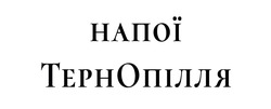 Заявка на торговельну марку № m202605538: тернопілля; напої