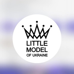 Заявка на торговельну марку № m202310426: little model of ukraine