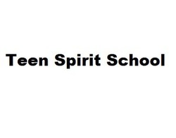 Заявка на торговельну марку № m201916226: teen spirit school