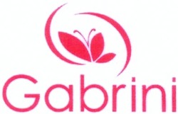 Заявка на торговельну марку № m201306229: gabrini