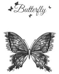 Заявка на торговельну марку № m201817201: butterfly