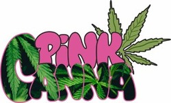 Заявка на торговельну марку № m202415144: pink canna