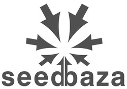 Свідоцтво торговельну марку № 275352 (заявка m201808429): seedbaza; seed baza