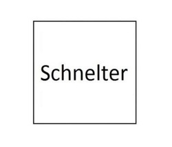 Заявка на торговельну марку № m202413834: schnelter