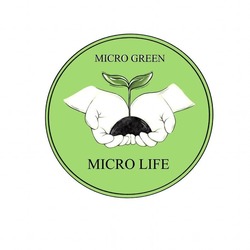 Свідоцтво торговельну марку № 315282 (заявка m202011002): micro green; micro life