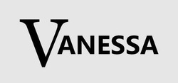 Свідоцтво торговельну марку № 346510 (заявка m202004804): vanessa