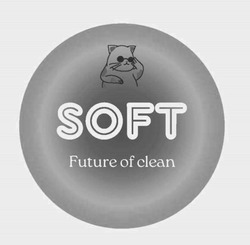 Заявка на торговельну марку № m202414643: future of clean; soft