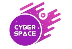 Свідоцтво торговельну марку № 315400 (заявка m202113948): cyber space