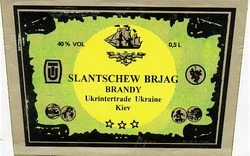 Свідоцтво торговельну марку № 10927 (заявка 95061994): slanschew brjag