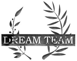 Свідоцтво торговельну марку № 292948 (заявка m201900874): dream team