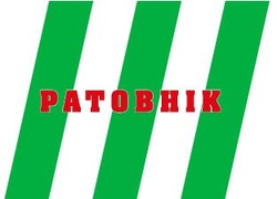 Заявка на торговельну марку № m202417662: ратовнік; patobhik