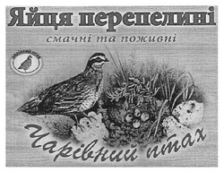 Свідоцтво торговельну марку № 126862 (заявка m200905567): яйця перепелині; смачні та поживні; чарівний птах