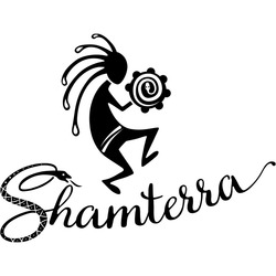 Заявка на торговельну марку № m202124148: shamterra